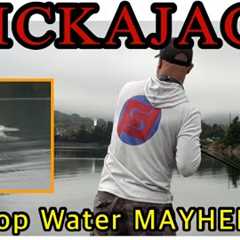 Fall Bass Fishing; NICKAJACK Tournament Top Water MAYHEM!!