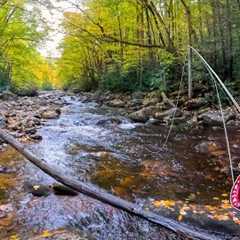 The fish you have to see to believe... (Fly Fishing for Trout)