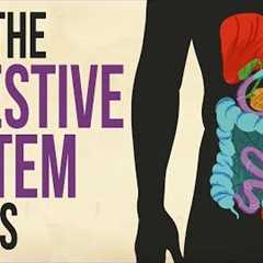 How your digestive system works - Emma Bryce