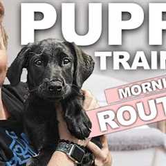 5 Puppy Training WINS You Should Get EVERY Morning!