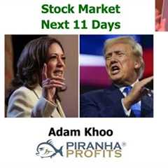 Stock Market Next 11 Days