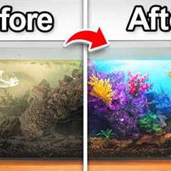 This Aquarium Was Abandoned, So I Transformed It