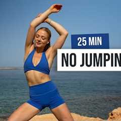 25 MIN KILLER NO JUMPING Workout - No Equipment, Low Impact Home Workout