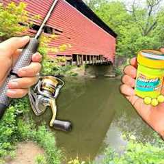 Eating Whatever I Catch.. Creek Fishing for Stocked Trout (Catch and Cook)