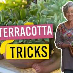 Easy Terracotta Pot Tips and Tricks | Gardening Hacks | Gardening Australia