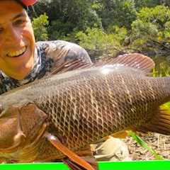 Best jungle overnight fishing trip ever. Catch n cook. EP.597