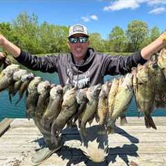 2,000 Fish out of 1 Lake (Crappie and Bass Catch Clean Cook)