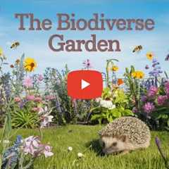 Biodiversity BOOMS in Home Gardening