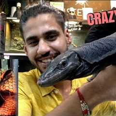 Biggest EXOTIC PET MARKET in the WORLD! Bangkok, Thailand