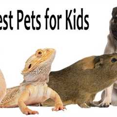 The Best Pets For Kids