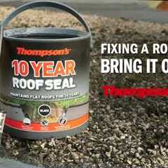 Thompson's 10 Year Roof Seal