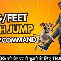 Advance Dog Training: How to train your Dog Leg/Feet Jump trick (Dog training in Hindi)