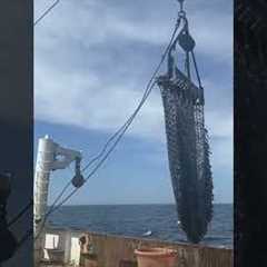 Handling gear on the F/V Heritage #work #fisherman #ocean #fishing #scallops #shorts