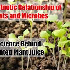 Plants and Microbes and the Science Behind Fermented Plant Juice