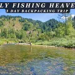 This stream is the Epitome of Perfection - 3 day Backcountry Fly Fishing Trip!