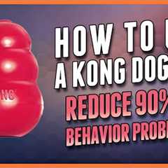 The Surprising Way Kong Toys Can CHANGE Your Dog's Life