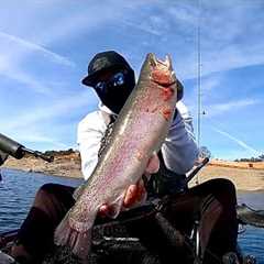 Rainbow Trout Fishing @Lake Amador 10/26/24