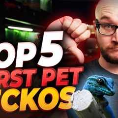 The 5 WORST Pet Geckos and 5 BETTER Options You'll Love | Bet You've Never Heard Of Number 4!