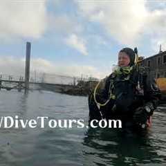 Seattle Scuba Diving Tour Guide  👌 PNW Dive Tours