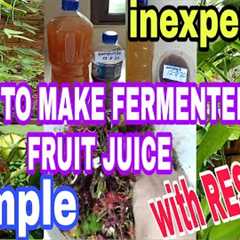 HOW TO MAKE FERMENTED FRUIT JUICE FOR PLANTS IS SIMPLE,  INEXPENSIVE AND WITH RESULTS!!!  TRY IT