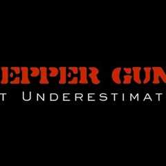 Prepper Guns - Most Underestimated Gun