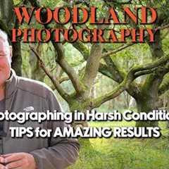 Woodland Photography Tips. Poor light, NO PROBLEM!