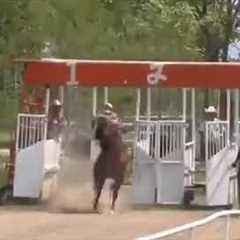 Horse race gone wrong😱