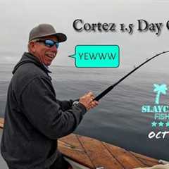 BLUEFIN TUNA Fishing Offshore | Cortez 1.5 Day Trip Seaforth Landing San Diego