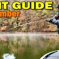 Catch More Bass with November's Best Lures!