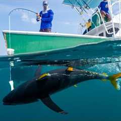 BATTLING Deep Sea GIANTS… Catch Clean Cook (Tropic Star lodge)