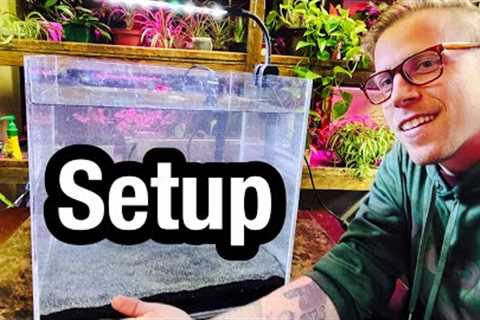 How to Set Up a Fish Aquarium at Home - Beginners Guide