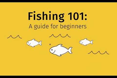 Fishing 101: A guide for beginners