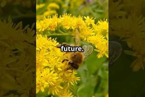 The Vanishing Honeybees: A Global Crisis! #shorts #savethebees #earth #climate #trending #viral