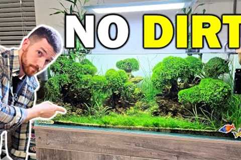 Why I Don't Use Dirt In My Fish Tanks...