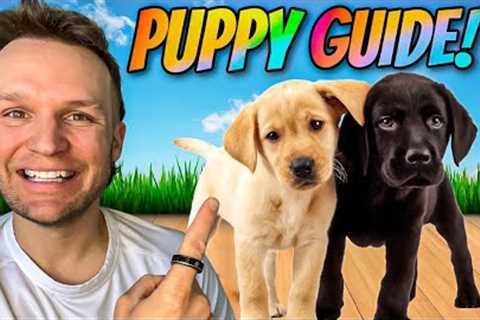 Puppy TRAINING - The FIRST 5 Things To Teach Any Puppy!