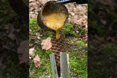 Survival Skills: Campfire made from natural materials in the wilderness.#survival #camping #skills