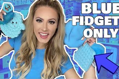 NO BUDGET BLUE ONLY FIDGET SHOPPING CHALLENGE! 🦋🌀💙