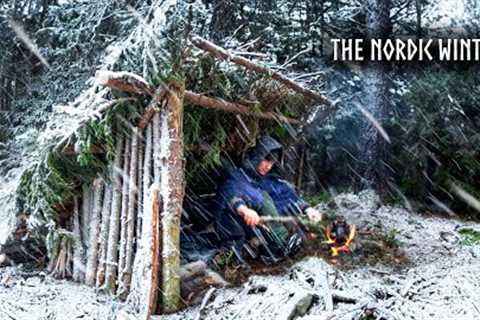 Extreme Winter Camping ALONE in the Freezing North (4 Survival Shelters)