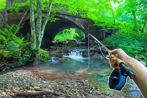 How to Catch MORE Brook Trout || Fly Fishing For Beginners