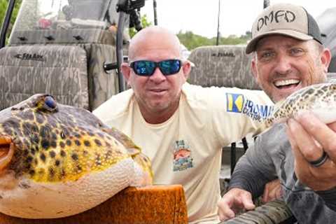 Fishing for FUGU! {Catch Clean Cook} JOEY'S BACK