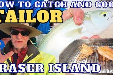 How To Catch and Cook TAILOR on Fraser Island  Catching Filleting Cooking fresh Tailor on the Beach