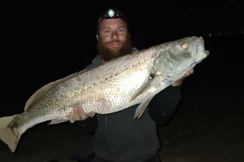 Catch N Cook catching HUGE MULLOWAY