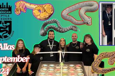 NARBC Dallas 2024 Reptile Expo Walkthrough | Exclusive Interviews with Awesome Breeders!