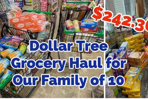 MY FiRST DOLLAR TREE GROCERY HAUL for Our Family of 10
