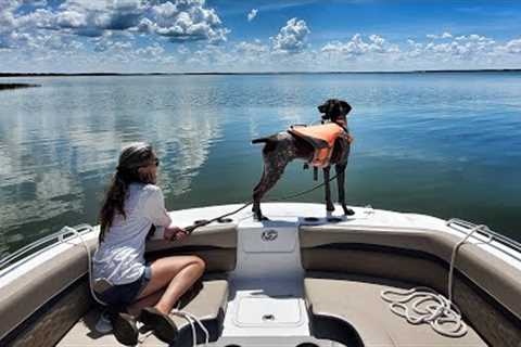 Exploring Lake Harris &amp; Island Hopping | Freedom Boat Club