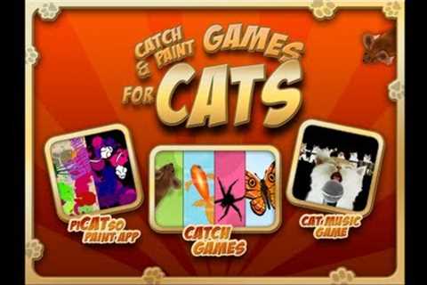 Catch &amp; Paint Games for Cats - cat iPad game demo