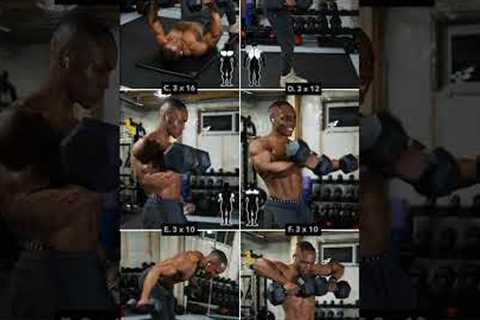 Dumbbell UPPERBODY Workout (No Bench) #1