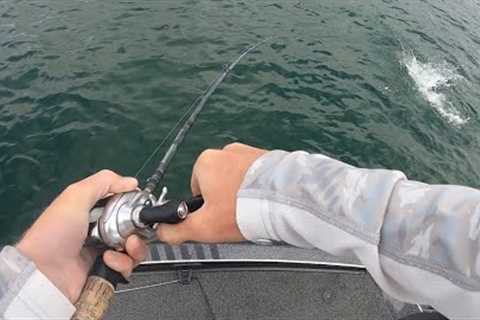 October Bass Fishing on Lake Lanier (CRAZY TOPWATER BLOWUPS)