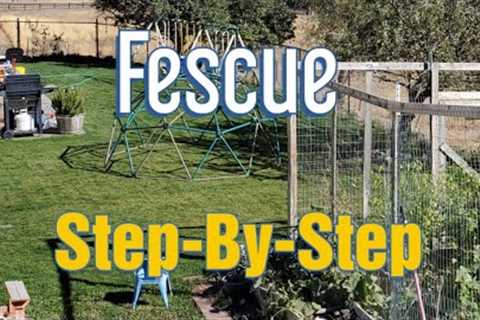 Turf Type Tall Fescue Maintenance Plan &amp; Annual Care Schedule (Fertilization and Disease..