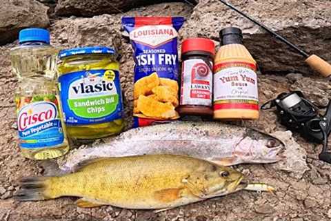 Smallmouth Bass + Rainbow Trout Catch &amp; Cook!! (Fish Sandwiches)